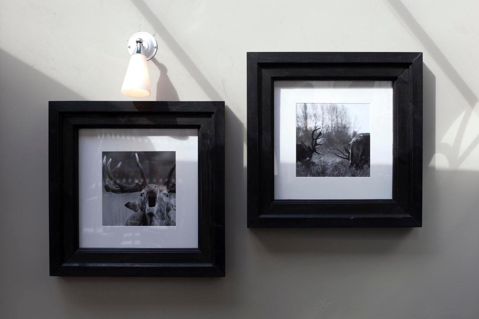 ホテル The Three Crowns チャグフォード エクステリア 写真 Framed photographs